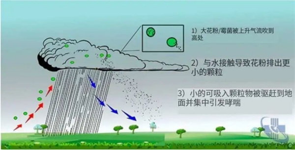 微信图片_2025-09-25_111414_180.jpg