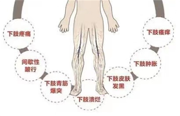 微信图片_20250610134732.jpg